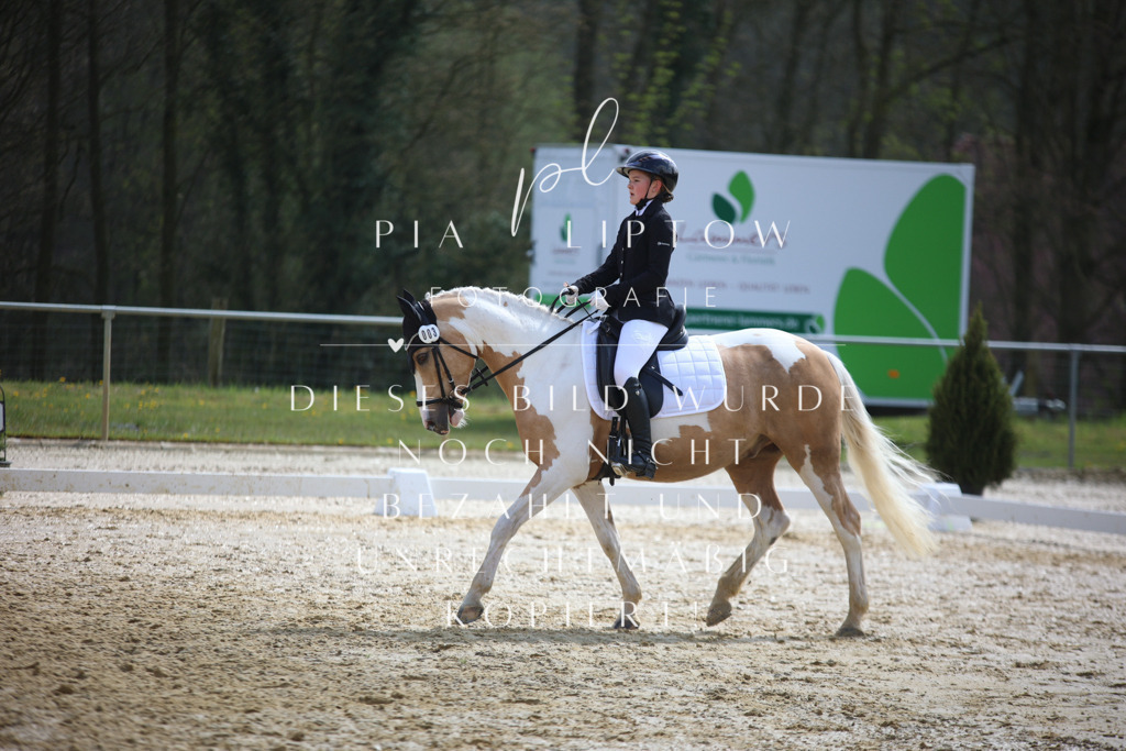 IMGT4319 | pl-fotografie