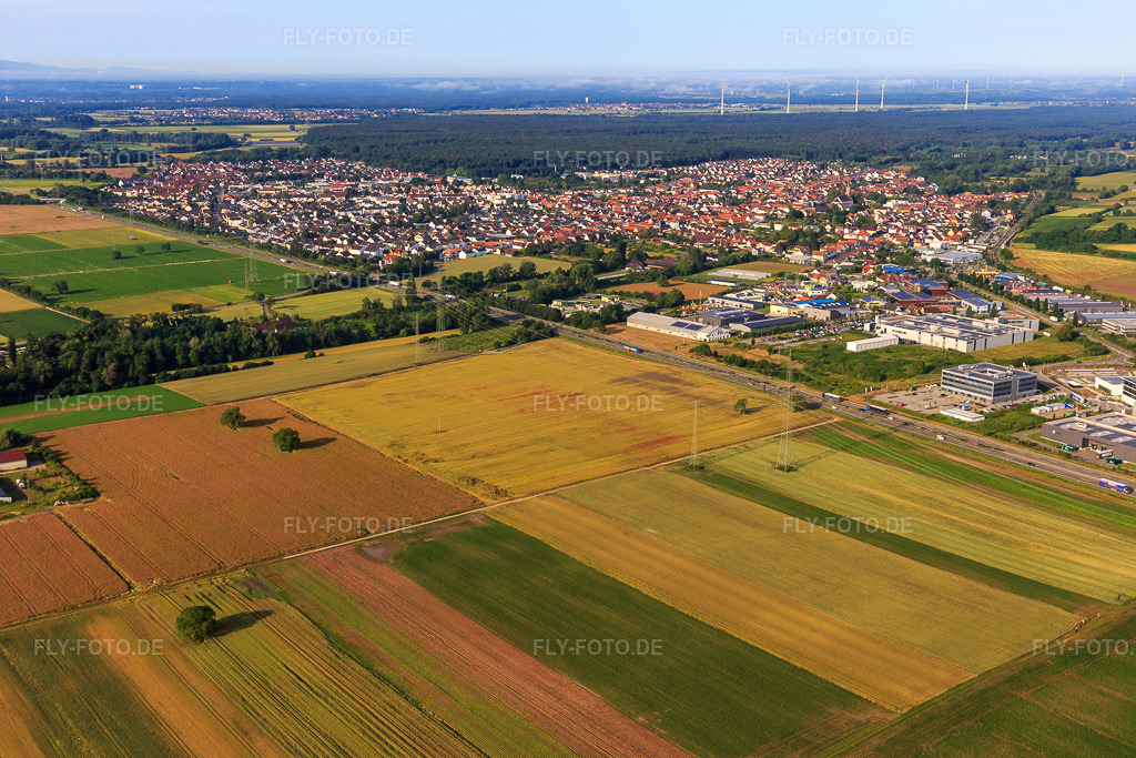 Luftbild: Stadtansicht von Nordosten in Rülzheim im Bundesland Rheinland-Pfalz in Deutschland. Foto: IMG_141779.jpg vom 18.06.2024 durch Werner Riehm/FLY-FOTO.de