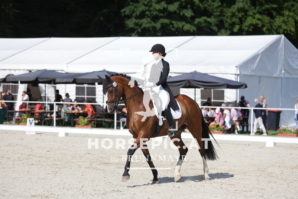 0P6A2270 | Willkommen bei Brunnmayr - Design & Fotografie – Ihrem Spezialisten für Reitturniere und Pferdeveranstaltungen in Oberösterreich, Salzburg und Bayern! Seit über 17 Jahren sind wir leidenschaftlich dabei.