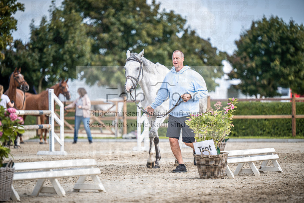 DOS_1971 | Entdecke hochwertige Reitturnierfotos von Foto Oger. Professionell, emotional und authentisch – jetzt Lieblingsmomente im Shop bestellen.Deutschlandweite Turnierfotografie. - Realisiert mit Pictrs.com