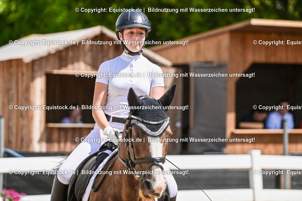 20230715_09_Dressur-WB_0139 | equistock