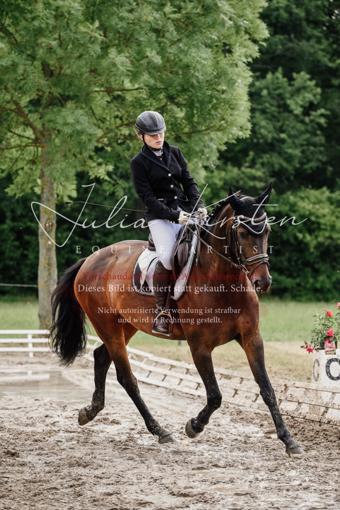 DSC_0747 | Pferde- und Turnierfotografie in Westsachsen. Pferdeportraits, Auftragszeichnungen und intuitive Kunst.