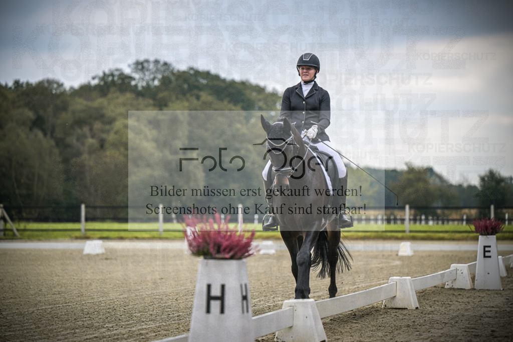 DOS_B327 | Entdecke hochwertige Reitturnierfotos von Foto Oger. Professionell, emotional und authentisch – jetzt Lieblingsmomente im Shop bestellen.Deutschlandweite Turnierfotografie. - Realisiert mit Pictrs.com