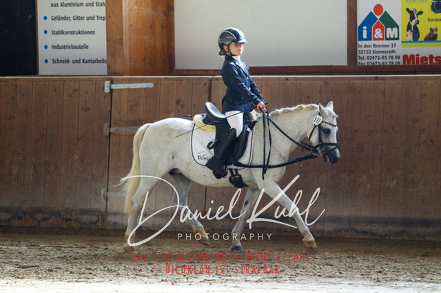 DKP44986 | Turniersportfotografie; Pferdefotografie; Dressurfotografie