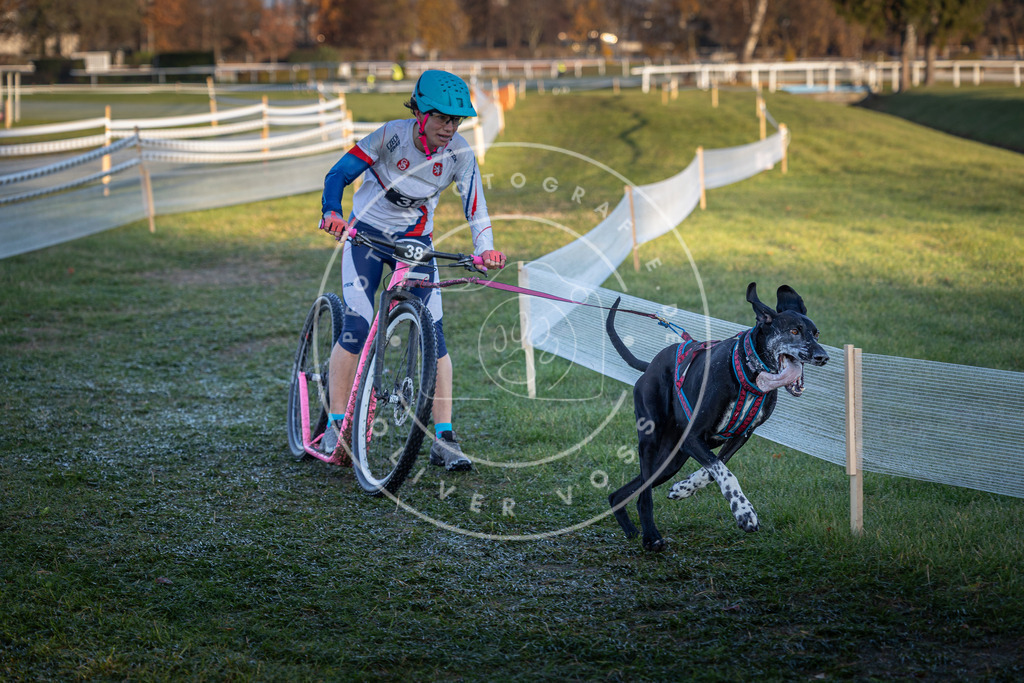 CaniXpix_0L8A2323 | Hundefotografie, Tierfotograf, Pfotenfotografie, Fotoshooting Hund, Hunde Portrait, Hundesport, Hundeportraits, Heideshooting, Hunde, Sportfotograf, Hundefotograf, Turnierhundsport, THS,  - Realisiert mit Pictrs.com
