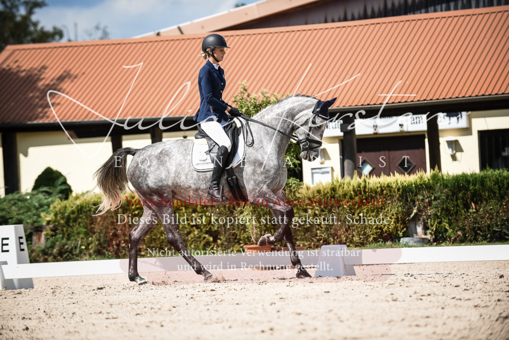 DSC_9267 | Pferde- und Turnierfotografie in Westsachsen. Pferdeportraits, Auftragszeichnungen und intuitive Kunst.