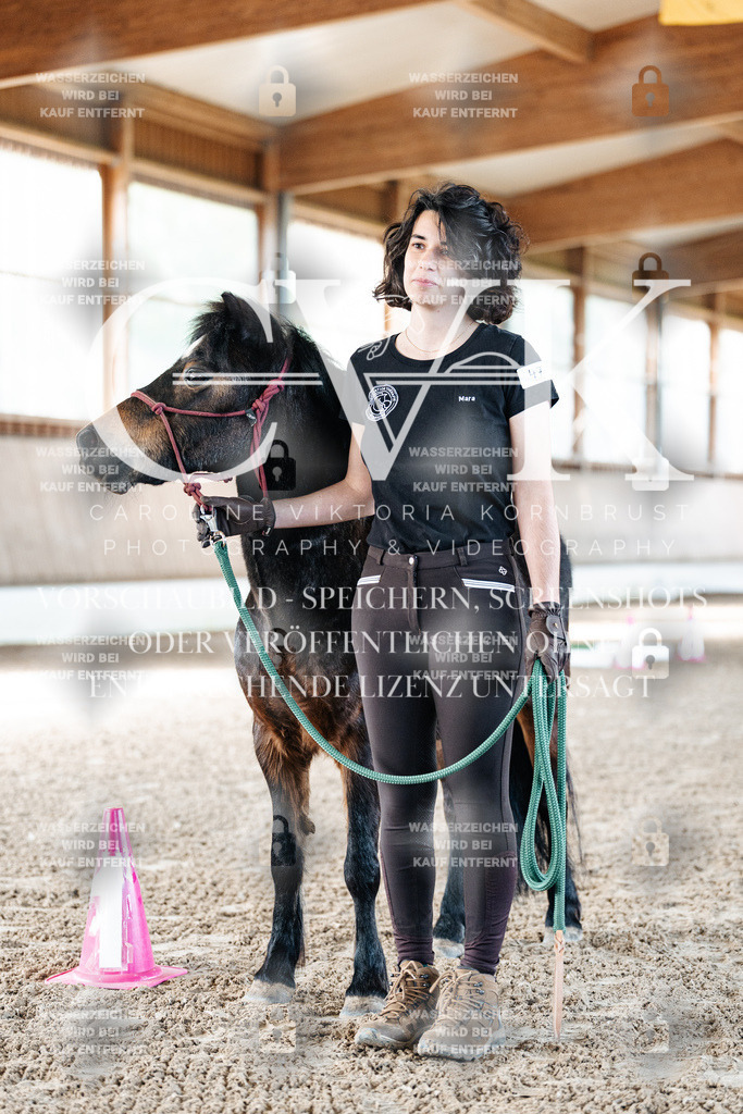 CK905209 | Turnierfotografie Pferdefotografie Trier Rheinland-Pfalz Pferdesport Reitsport Tierfotografie Sportfotografie Pferdevideo Pferdevideografie Equestrianvideography equestrianphotography  - Realisiert mit Pictrs.com