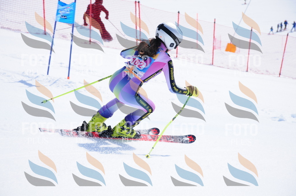 DSC_5400 | holidayphoto