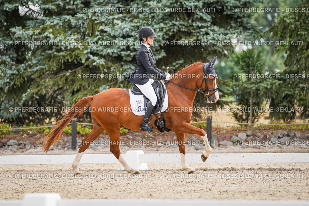 DSC01769 | Pferdegrafie