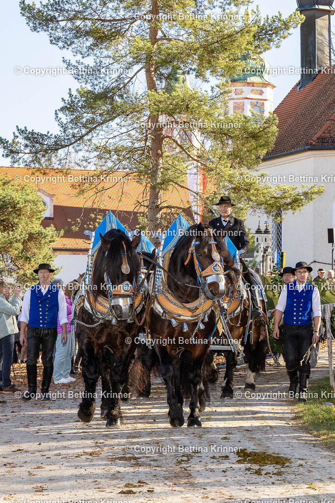 LBT25-1137 | foto-bettina-krinner - Realisiert mit Pictrs.com