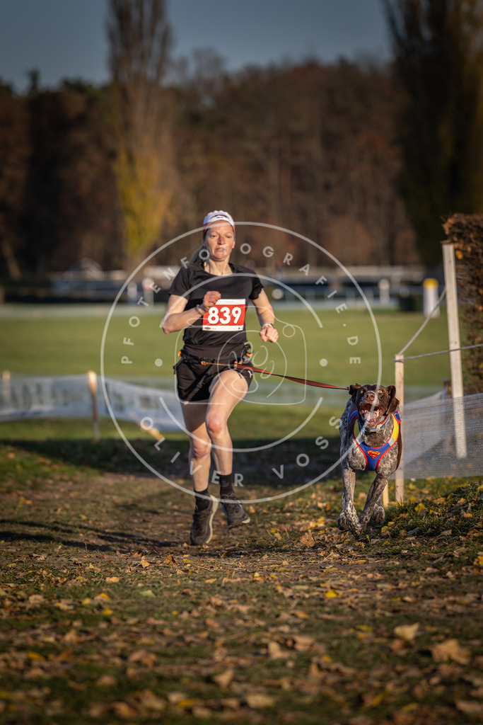 CaniXpix_DV3A3567 | Hundefotografie, Tierfotograf, Pfotenfotografie, Fotoshooting Hund, Hunde Portrait, Hundesport, Hundeportraits, Heideshooting, Hunde, Sportfotograf, Hundefotograf, Turnierhundsport, THS,  - Realisiert mit Pictrs.com