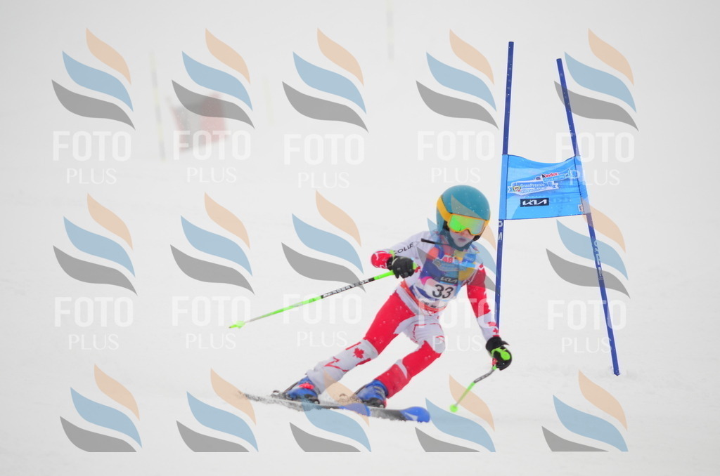 C0778 | holidayphoto