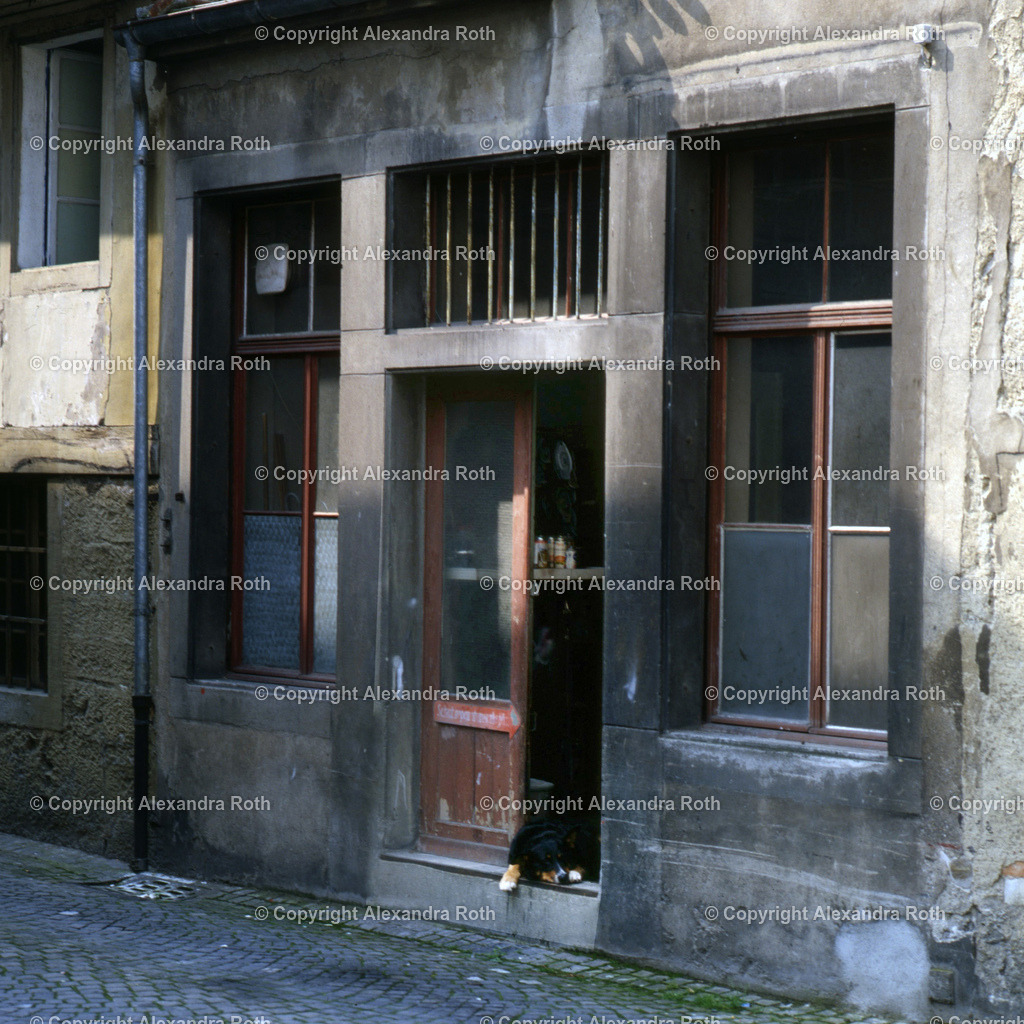 Aarau_1013 | onlineshop - Realisiert mit Pictrs.com