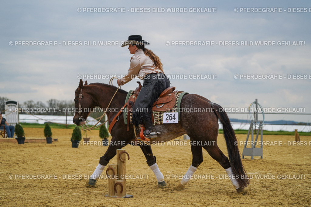 DSC07382 | Pferdegrafie