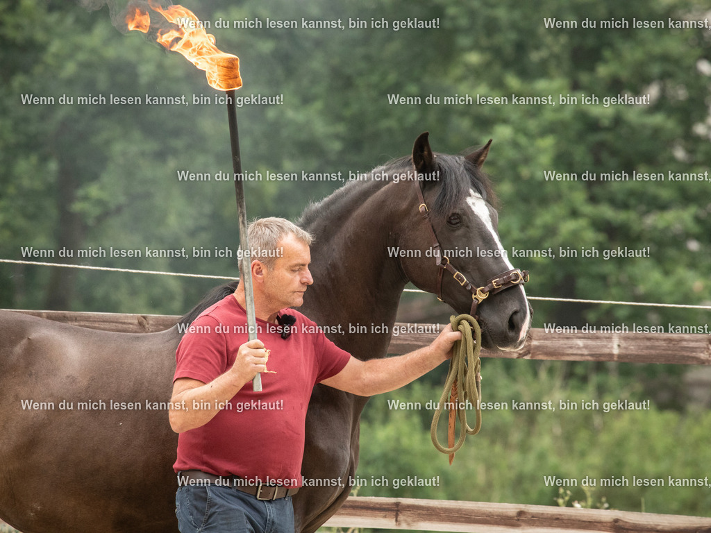 598A7500 | photographylinaismer - Realisiert mit Pictrs.com