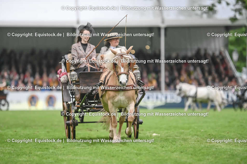 20240517_Lange-Pferdenacht_0147 | Foto: Thomas Hartig