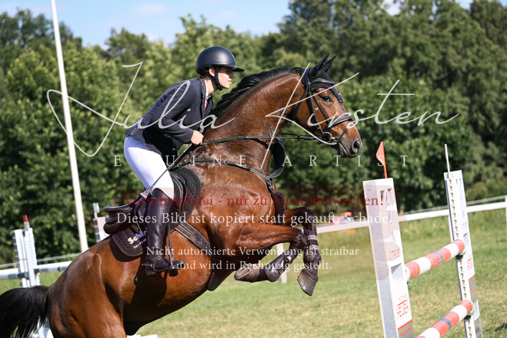 DSC_1456 | Pferde- und Turnierfotografie in Westsachsen. Pferdeportraits, Auftragszeichnungen und intuitive Kunst.