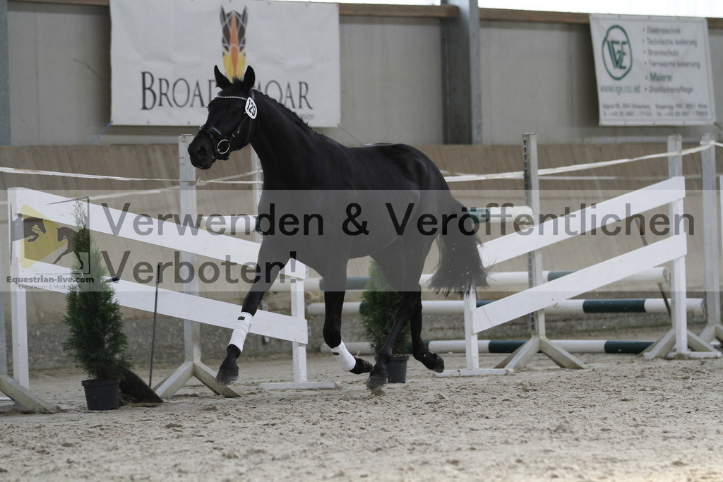 _MG_9871 | equestrian-live-com