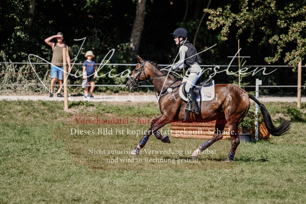 DSC_2754 | Pferde- und Turnierfotografie in Westsachsen. Pferdeportraits, Auftragszeichnungen und intuitive Kunst.