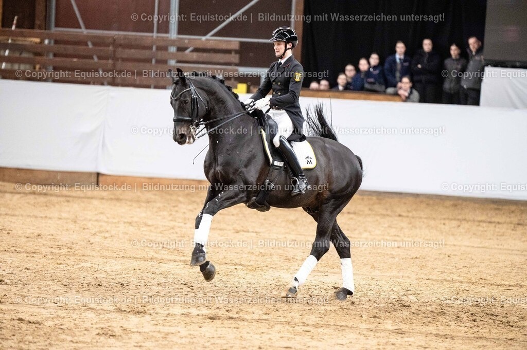 20260307_Hengstvorstellung-Marbach_0492 | equistock
