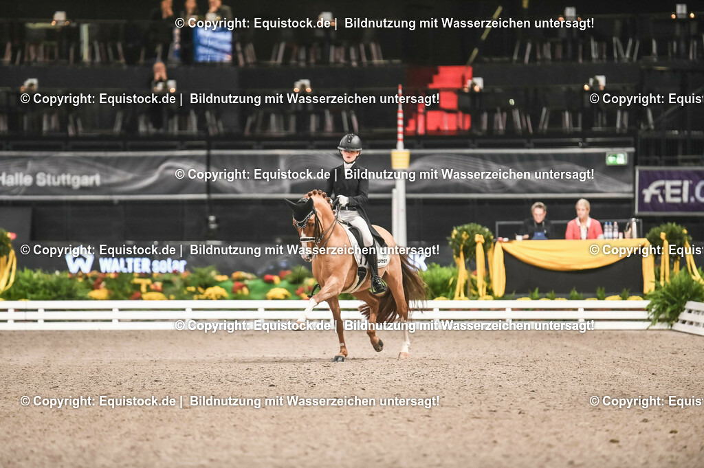 20231115_20_Dressur_Kl-S++_0591_TOMsPiC | Foto: Thomas Hartig