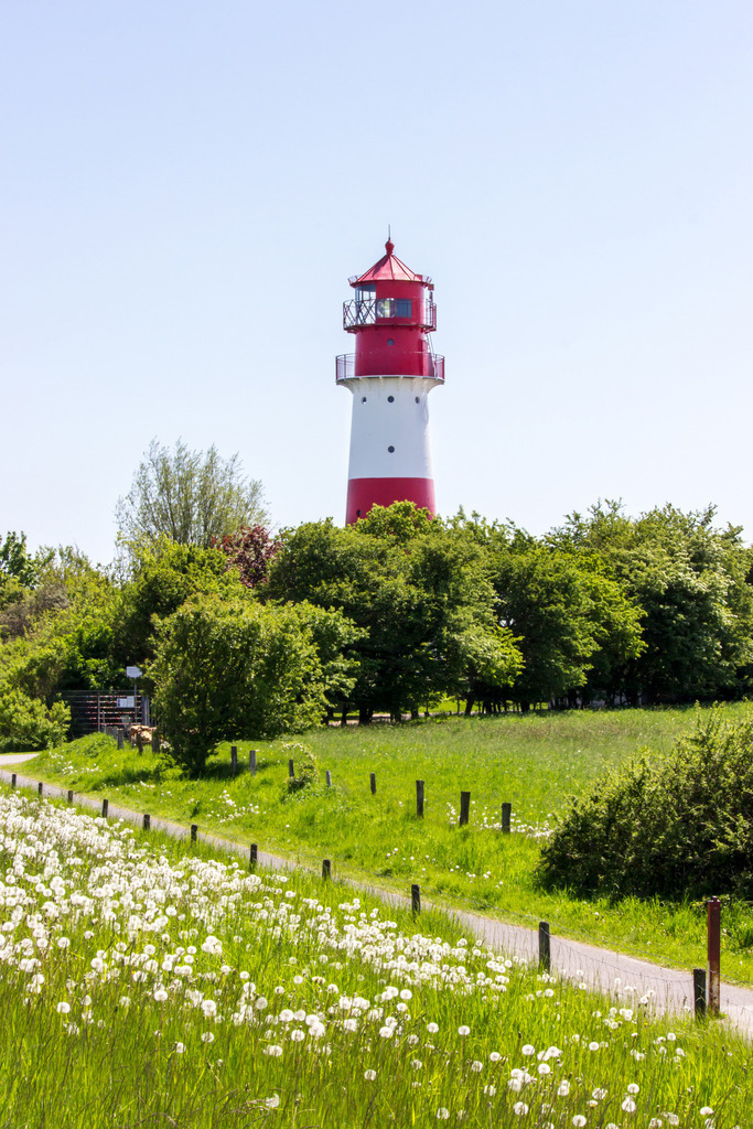 Wandbild: Leuchtturm in Falshöft im Frühling | Dieses Wandbild im Hochformat zeigt einen der schönsten Leuchttürme an der Ostseeküste in Falshöft. Im Vordergrund befindet sich eine grüne Wiese mit zahlreichen Pusteblumen. Zwischen den Feldern befindet sich der Weg zum Leuchtturm. Holen Sie sich dieses idyllische Wandbild nach Hause in Ihr Wohnzimmer, Küche, Schlafzimmer oder in Ihre Ferienwohnung, Büro, den Arbeitsplatz oder Ihre Praxis. Es ist als Leinwand, als Acrylglas/Glasbild und Aluminium-Platte in vielen Abmessungen erhältlich. - Realisiert mit Pictrs.com