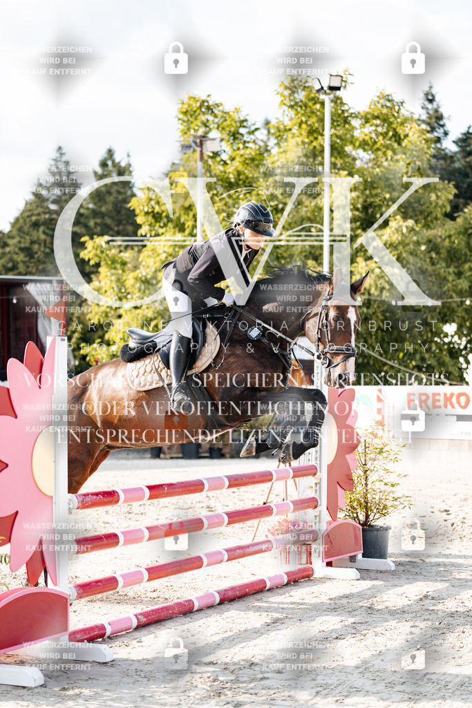 CK903174 | Turnierfotografie Pferdefotografie Trier Rheinland-Pfalz Pferdesport Reitsport Tierfotografie Sportfotografie Pferdevideo Pferdevideografie Equestrianvideography equestrianphotography  - Realisiert mit Pictrs.com