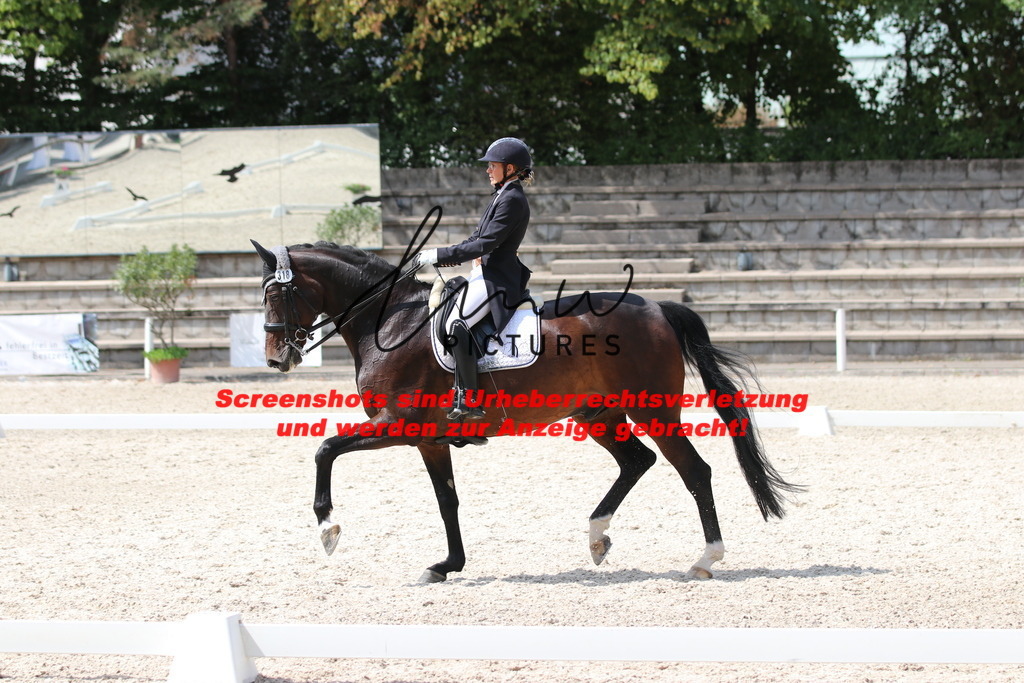 IMG_7216 | lmwpictures - Realisiert mit Pictrs.com