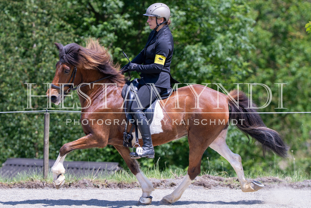 KAI03420 | Ihr sucht einen Fotografen für eure nächste OSI? Ich begleite auch euer Turnier für Islandpferde fotografisch.  - Realisiert mit Pictrs.com