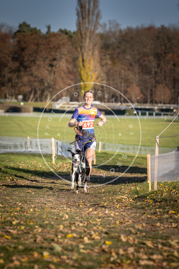 CaniXpix_DV3A1290 | Hundefotografie, Tierfotograf, Pfotenfotografie, Fotoshooting Hund, Hunde Portrait, Hundesport, Hundeportraits, Heideshooting, Hunde, Sportfotograf, Hundefotograf, Turnierhundsport, THS,  - Realisiert mit Pictrs.com