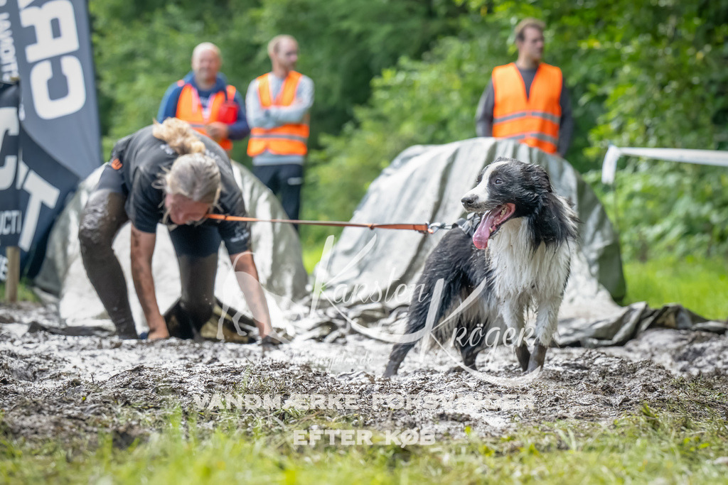 1100_ZZ93293-Bearbeitet | kk-dogfotos