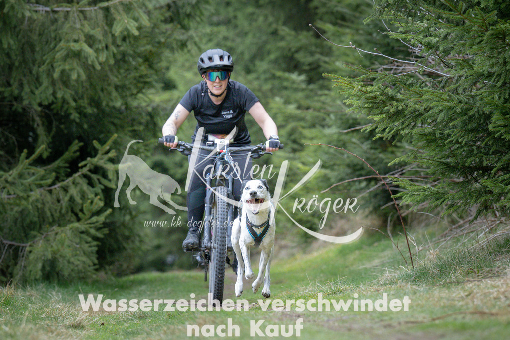 1311_ZZ93916 | kk-dogfotos
