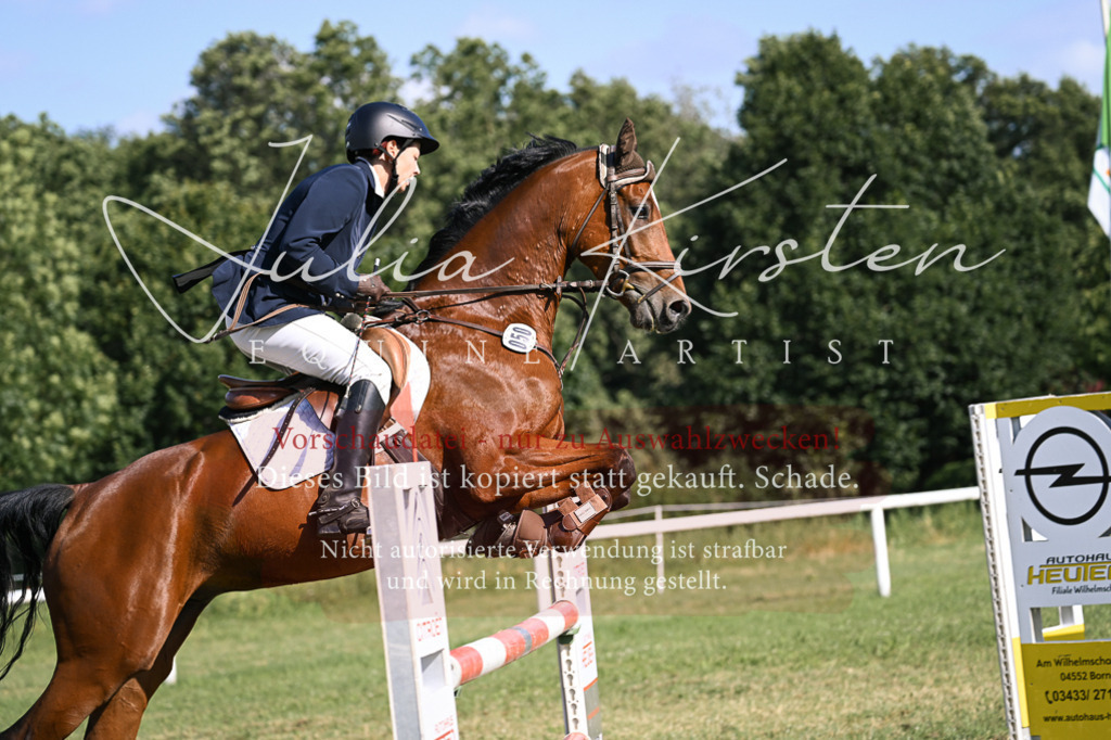 DSC_1252 | Pferde- und Turnierfotografie in Westsachsen. Pferdeportraits, Auftragszeichnungen und intuitive Kunst.