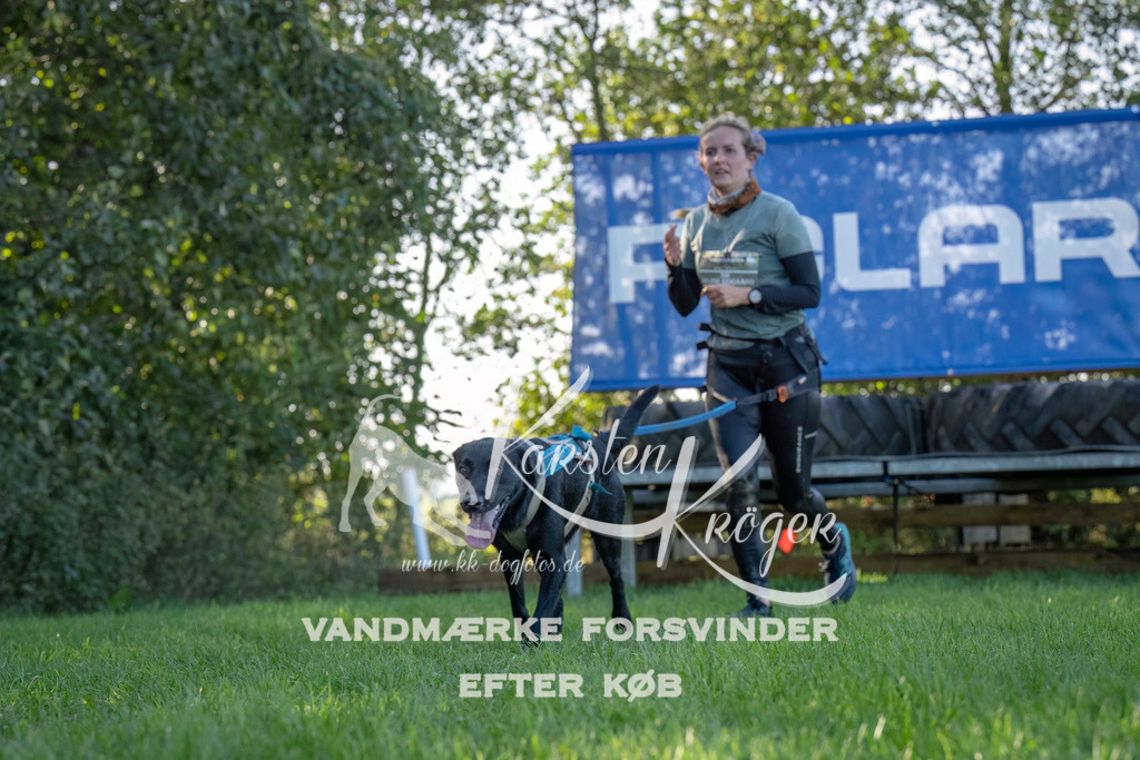 1046--8 | kk-dogfotos