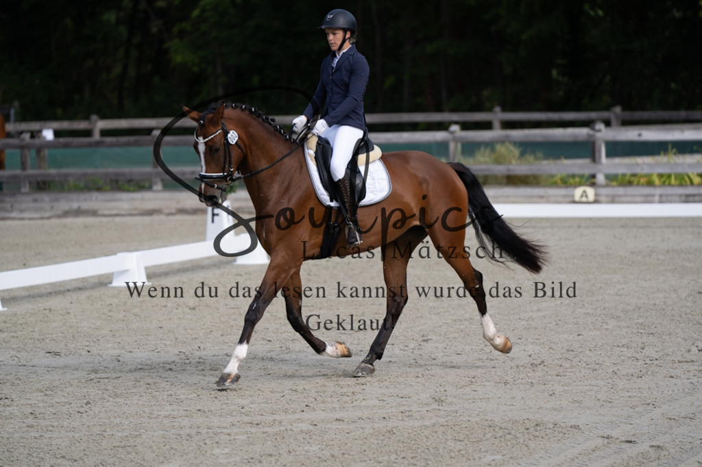 A7V06787 | Turnier/Reitfotograf