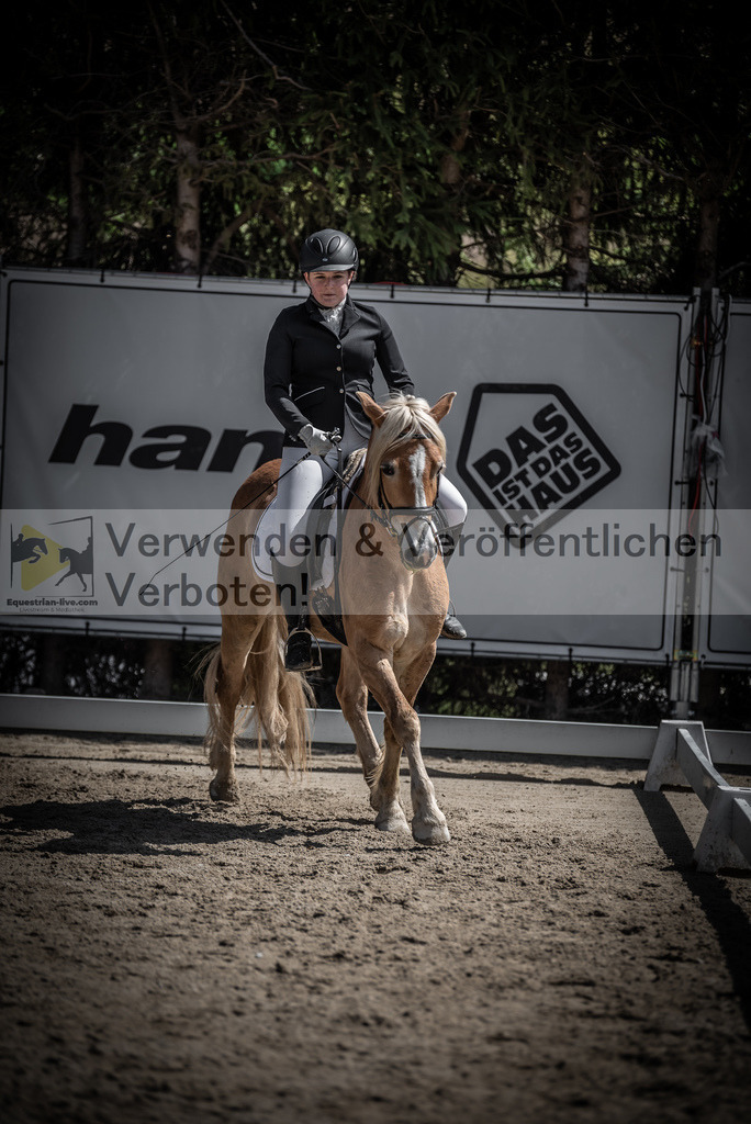 DSC_0650 | equestrian-live-com