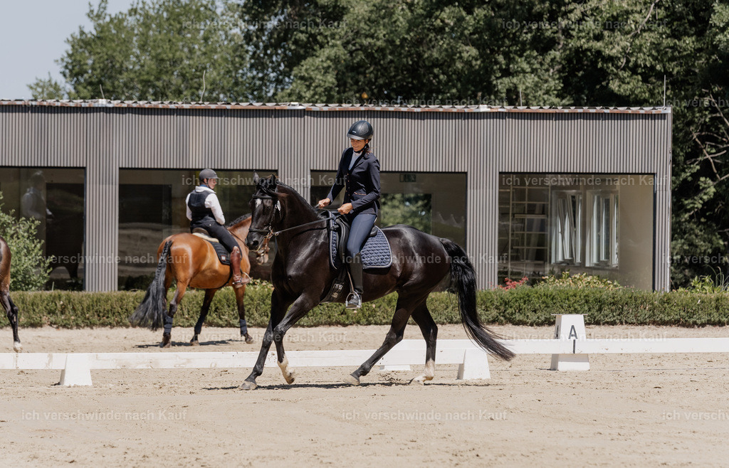 WE_DR_144_SinaFilmArt_IN03263 | working equitationturnier fotograf videograf stoibphotography marixx film working equitation deutschland reitsport turnierfotografie eventfotografie equestrian events