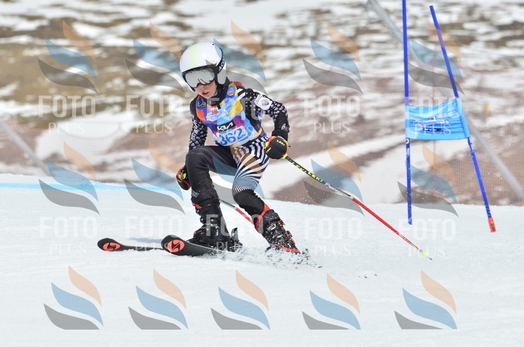 _ELE2882 | holidayphoto