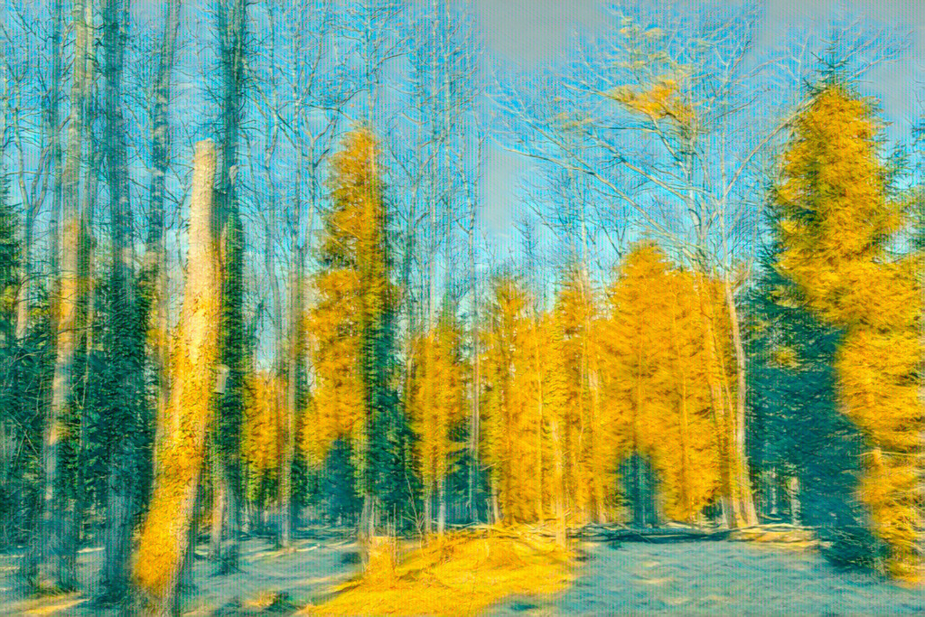 2023_01_14 foto-art-012 | bridgeman - Realisiert mit Pictrs.com