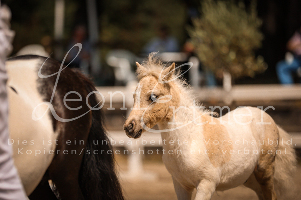 01.DoKR00060 | Leoni Ertmer Photography - Realisiert mit Pictrs.com