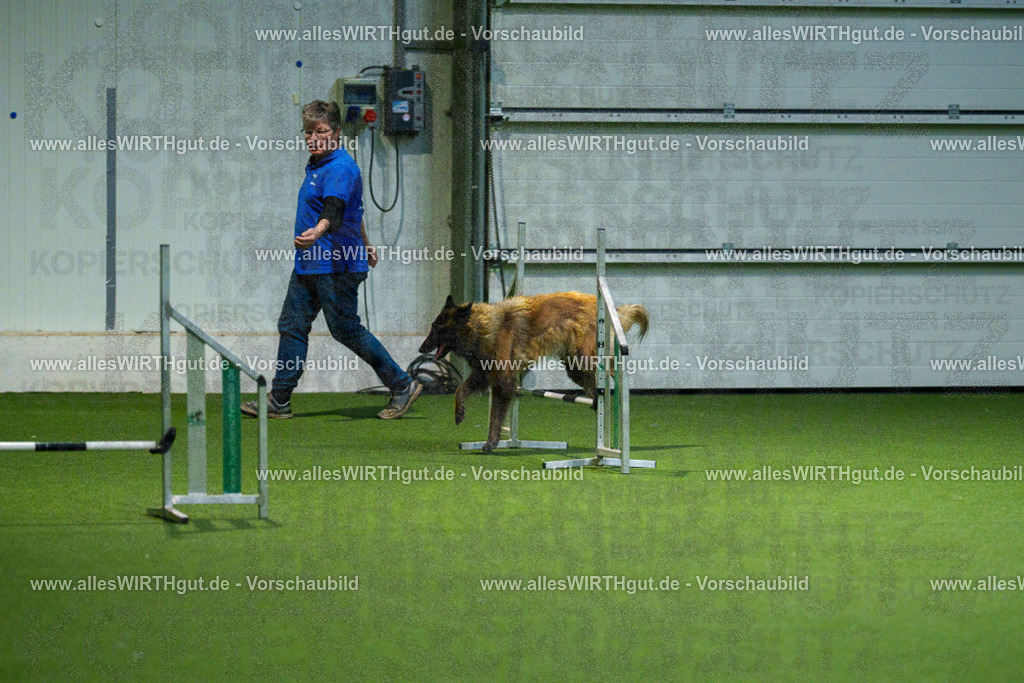 7R507883 | Professionelle Tierfotografie in Mönchengladbach von Daniel Wirth (allesWIRTHgut). Liebevolle & natürliche Bilder von Hunden & Katzen für unvergessliche Erinnerungen.