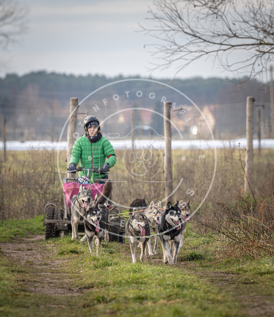 Pfotenfotografie_DV3A6846 | Hundefotografie, Tierfotograf, Pfotenfotografie, Fotoshooting Hund, Hunde Portrait, Hundesport, Hundeportraits, Heideshooting, Hunde, Sportfotograf, Hundefotograf, Turnierhundsport, THS,  - Realisiert mit Pictrs.com