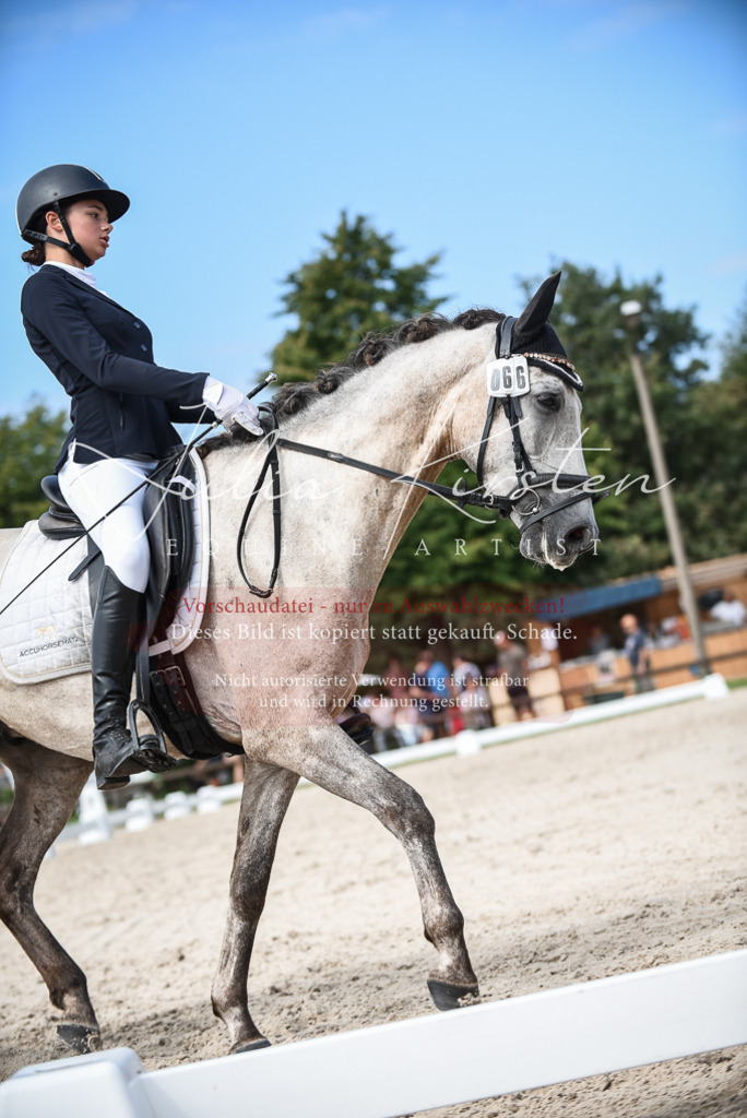 DSC_8696 | Pferde- und Turnierfotografie in Westsachsen. Pferdeportraits, Auftragszeichnungen und intuitive Kunst.