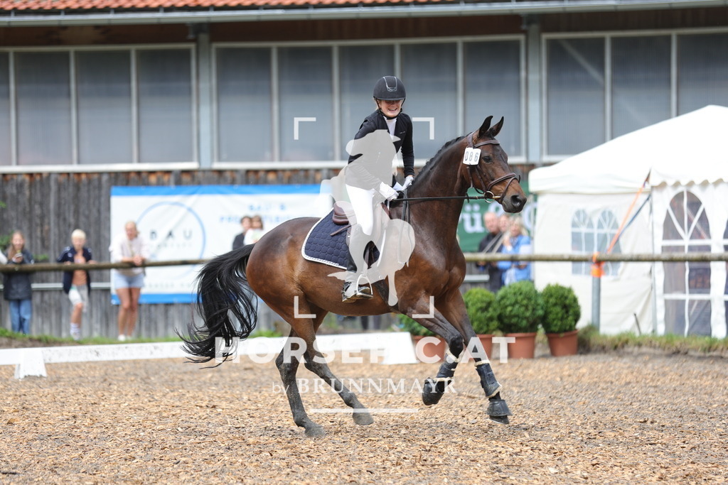 0P6A1042 | Willkommen bei Brunnmayr - Design & Fotografie – Ihrem Spezialisten für Reitturniere und Pferdeveranstaltungen in Oberösterreich, Salzburg und Bayern! Seit über 17 Jahren sind wir leidenschaftlich dabei.