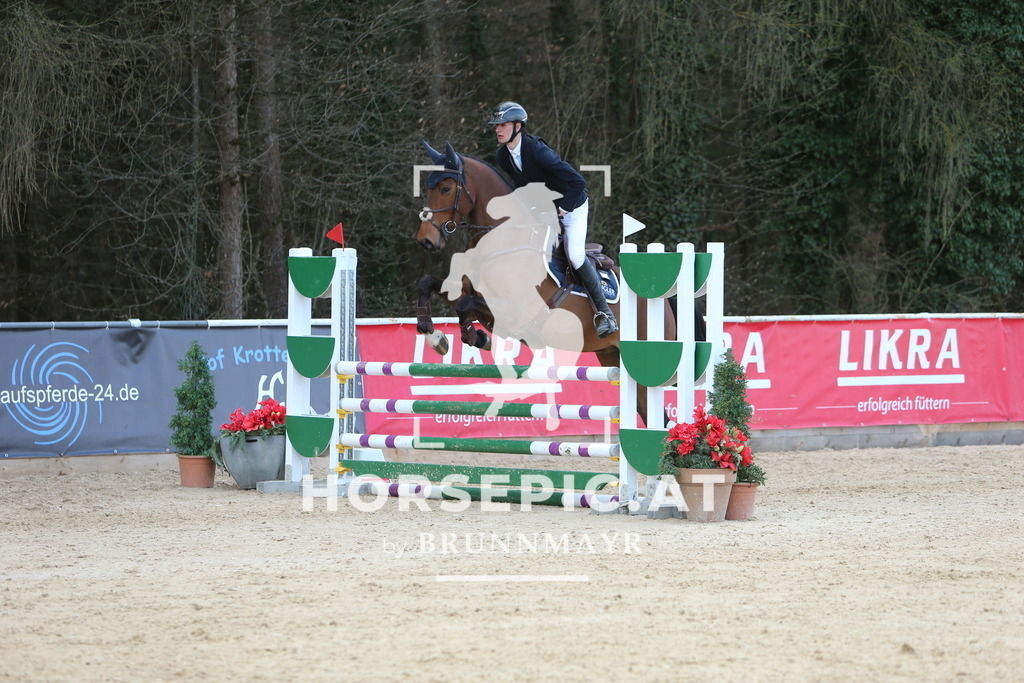 DL2Q9618 | Willkommen bei Brunnmayr - Design & Fotografie – Ihrem Spezialisten für Reitturniere und Pferdeveranstaltungen in Oberösterreich, Salzburg und Bayern! Seit über 17 Jahren sind wir leidenschaftlich dabei.