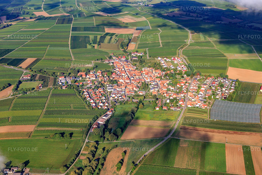 Luftbild: Dorfansicht aus Osten in Impflingen im Bundesland Rheinland-Pfalz in Deutschland. Foto: IMG_103436.jpg vom 10.09.2017 durch Werner Riehm/FLY-FOTO.de