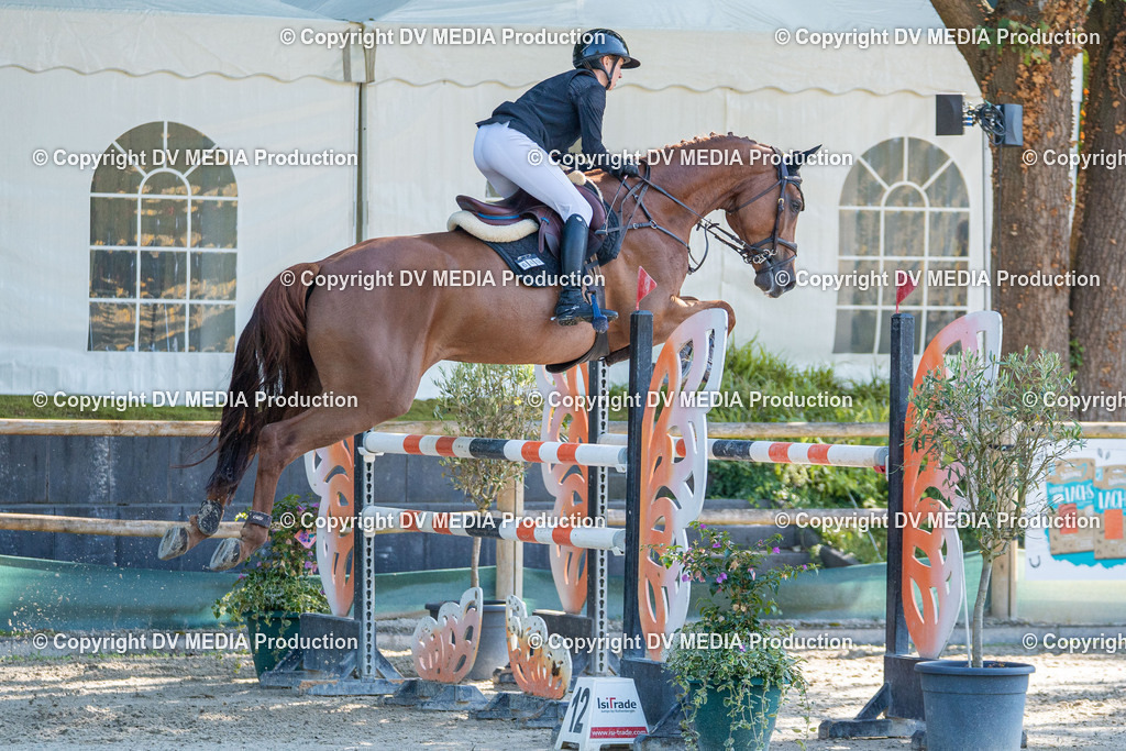 Hessische Tag 1-1027 | dv-media-shop - Realisiert mit Pictrs.com