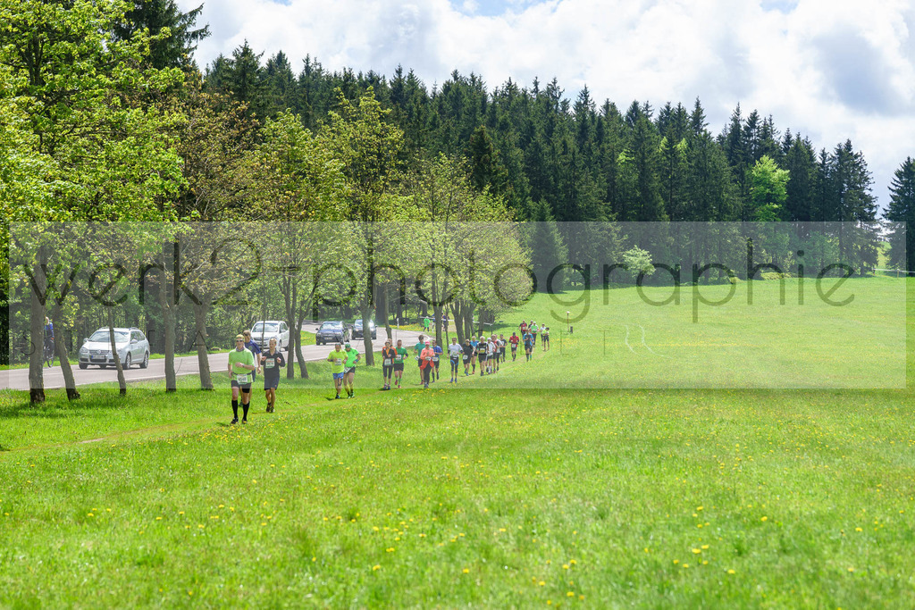 Rennsteiglauf 2017 | Neuhaus/Rwg. - Schmiedefeld am 19. Mai 2017