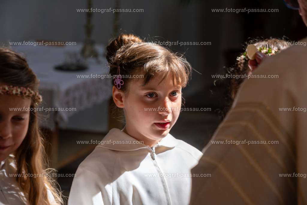 _DSC2728 | Hier finden Sie die Online Foto-Galerie von fotograf-passau.com und marius-handrugan.de. Suchen Sie sich direkt Ihre Lieblingsbilder aus, ob als Ausdruck oder Download. - Realisiert mit Pictrs.com