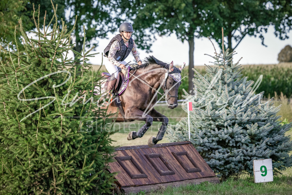 20250906-_3LI7911 | Tierfotografie Pferde, Hunde, Katzen, Haustiere.
Turnierfotografie Reitturniere, Reiten, Springreiten, Dressur in Hanau, dem Main-Kinzig-Kreis und dem Rhein-Main- Gebiet um Frankfurt
